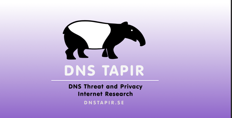 DNS TAPIR AfterWork 